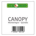 Canopy en el Quindio