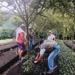 Coffee Tour Finca Buenos Aires - Salento