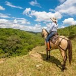 Cabalgatas Eje cafetero